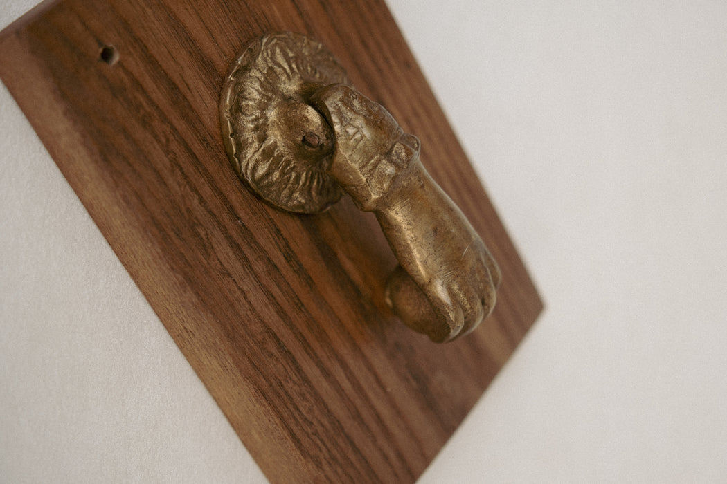 Vintage brass hand door knocker on wood