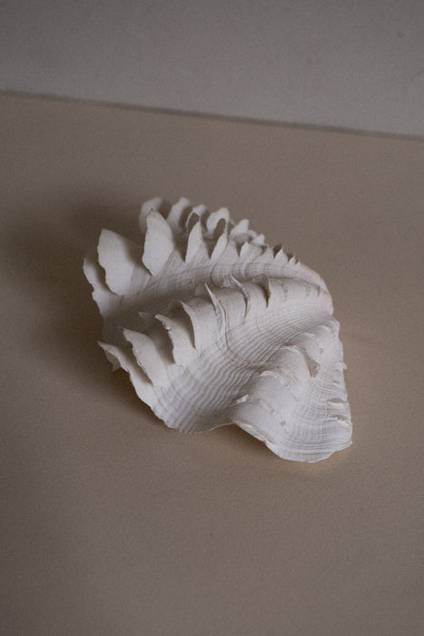 Vintage frill clam shell dish