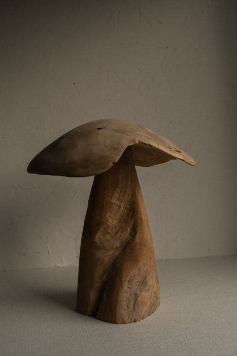 Hand carved teak wood mushroom