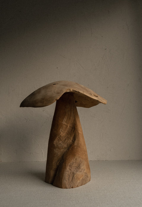 Hand carved teak wood mushroom